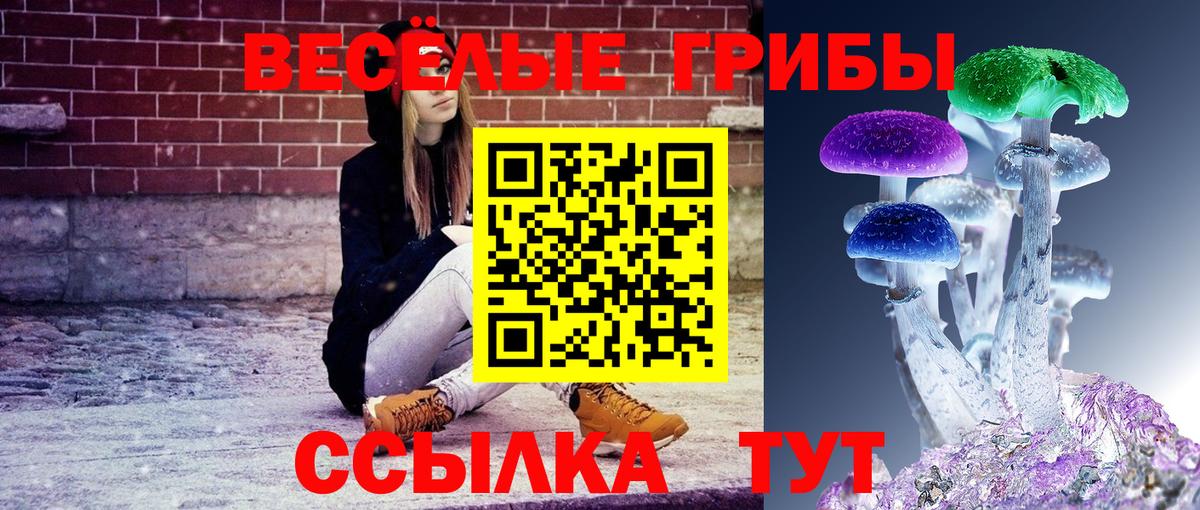 Десногорск  Псилоцибиновые грибы Cubensis  Галлюциногенные грибы Psilocybine cubensis  наркошоп  Вход с VPN 
