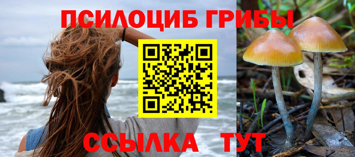 Галлюциногенные грибы Cubensis Десногорск